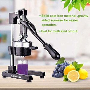 Large Citrus Juicer Commercial