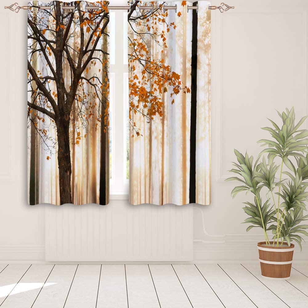 713xR42iQ6L._AC_SL1000_