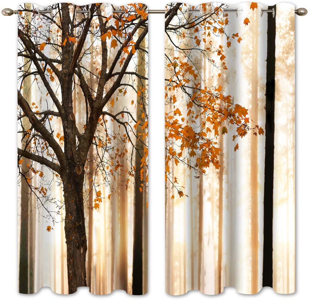 71WVp7kUj6L._AC_SL1100_