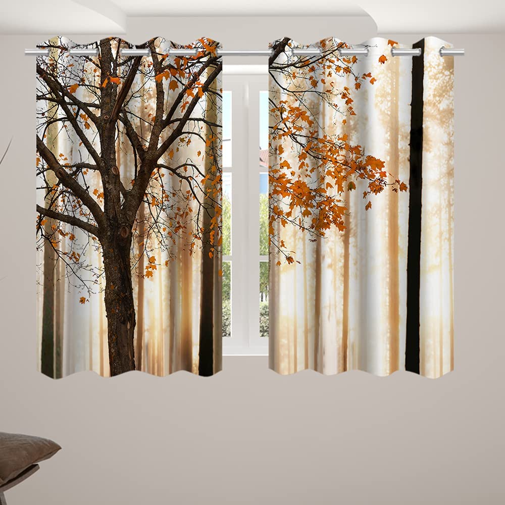 71vqkUTJBmS._AC_SL1000_